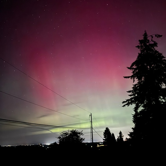 Meet your Posher, Jess - Picture 4 of 11